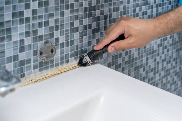 Best Mold Remediation Experts  in Gassville, AR