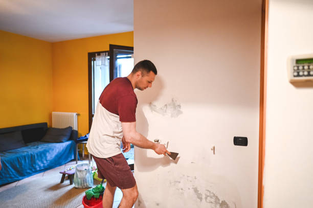 Best Attic Mold Removal  in Gassville, AR